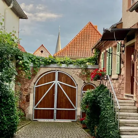 Gaestehaus Zum Weinbauer Konukevi Rhodt unter Rietburg
