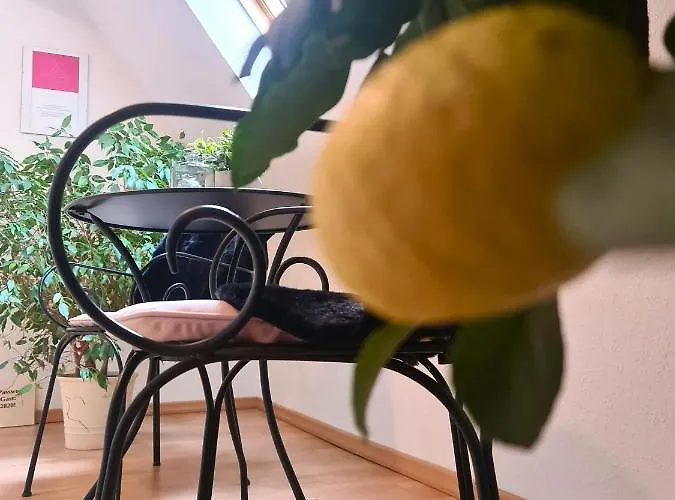 Gaestehaus Zum Weinbauer 招待所 3*